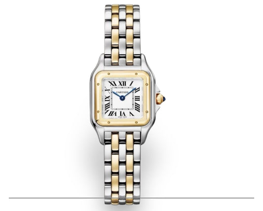 Cartier Panthère Mini – Acier & Or Jaune